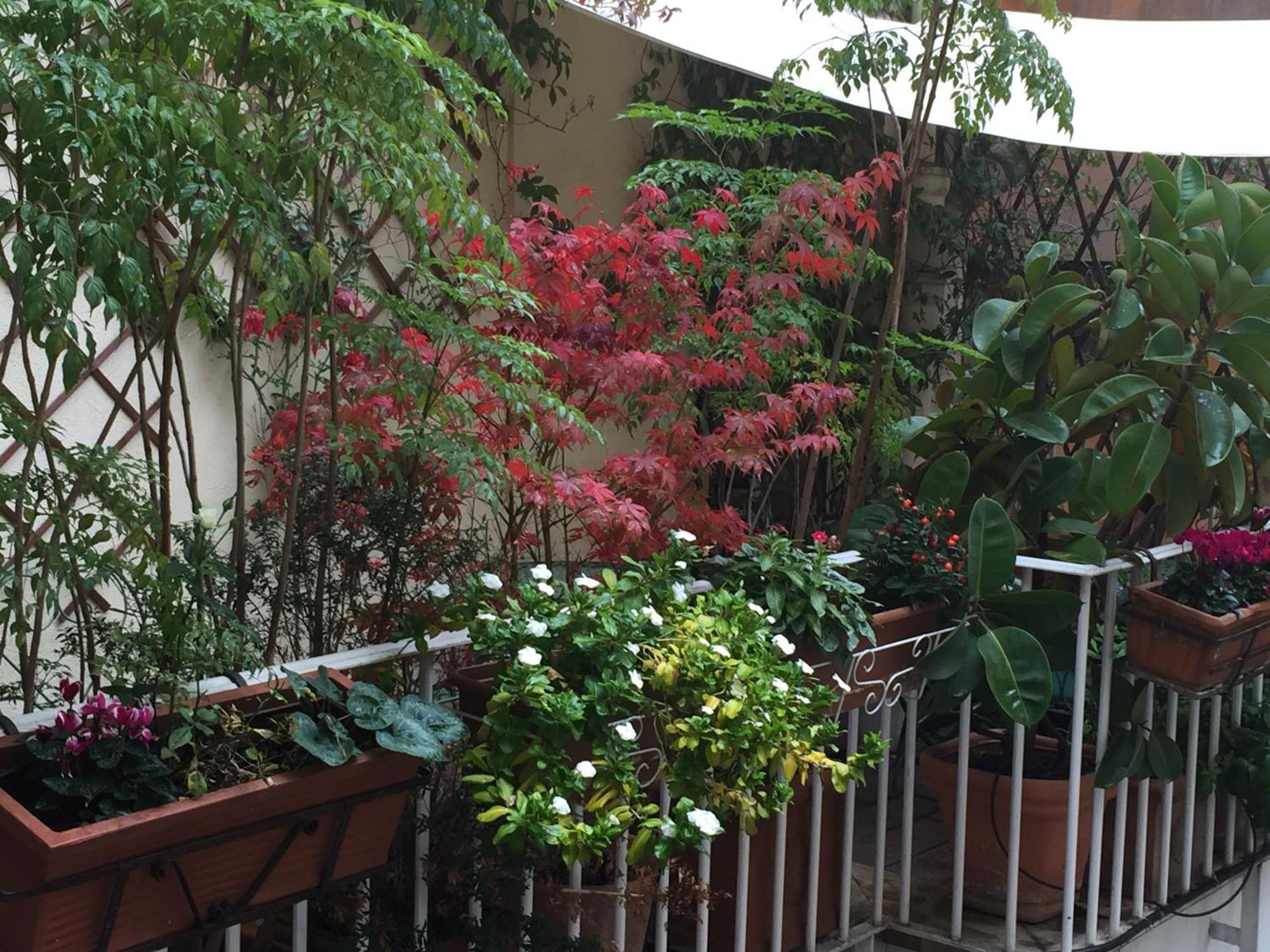 Relais Teatro Argentina Bed & Breakfast Roma Dış mekan fotoğraf